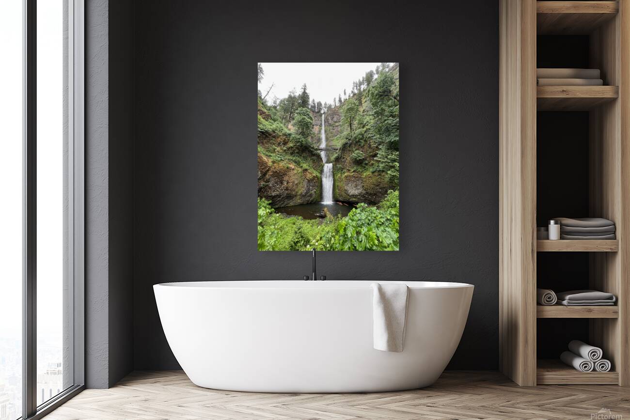 Multnomah Falls  Reproduction