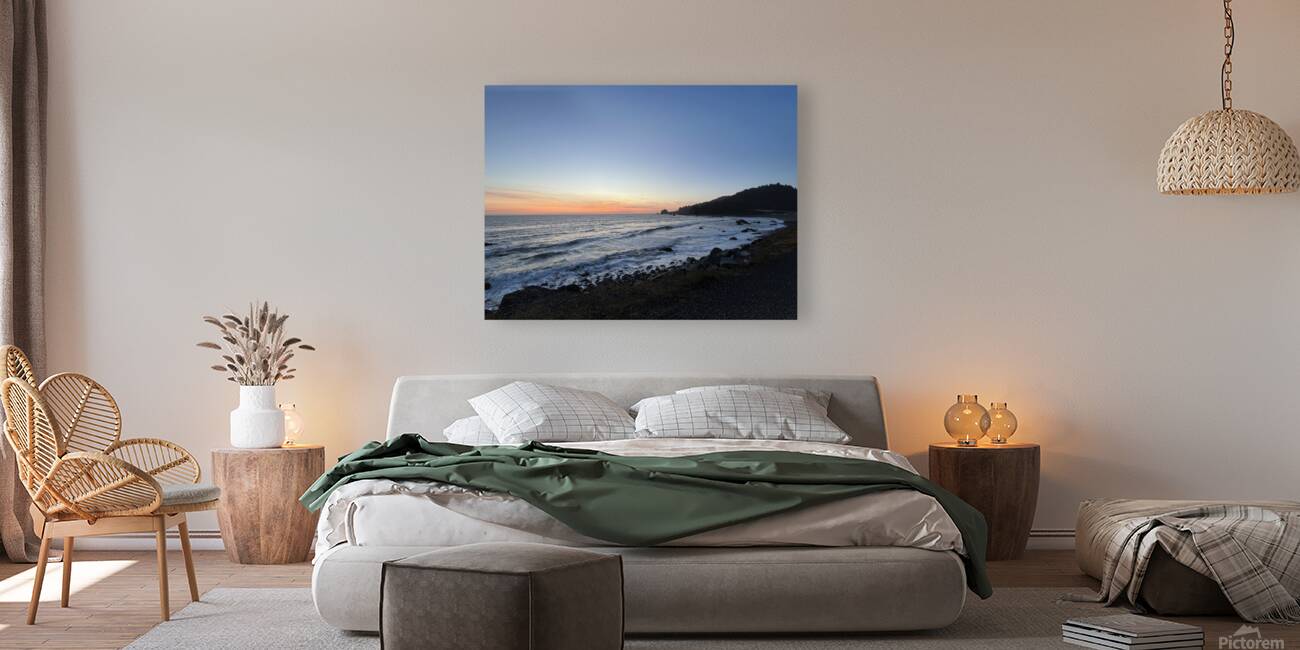 Coastal Beach Reproduction