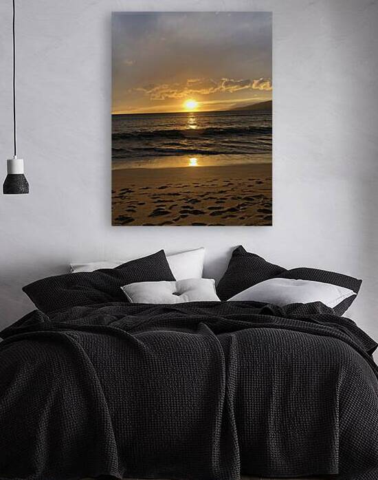 Venice Beach Sunset by Michi