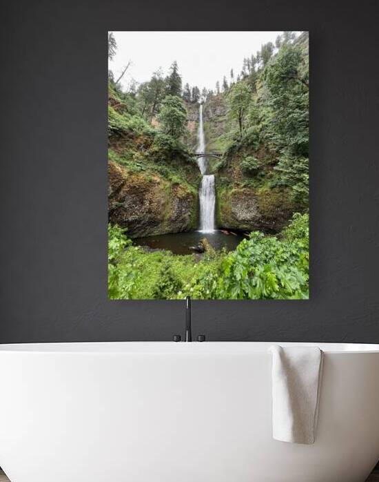 Multnomah Falls  by Michi