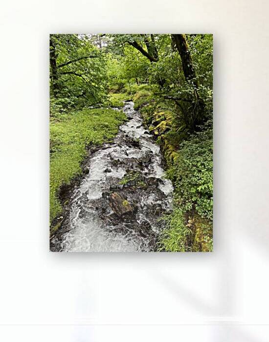 Oregon by Michi