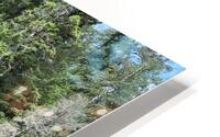Ross Lake HD Metal print
