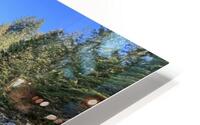 Canada 2 HD Metal print