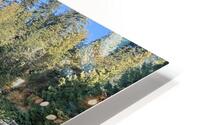 Canada HD Metal print