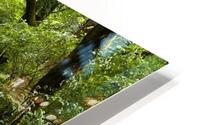 Oregon HD Metal print