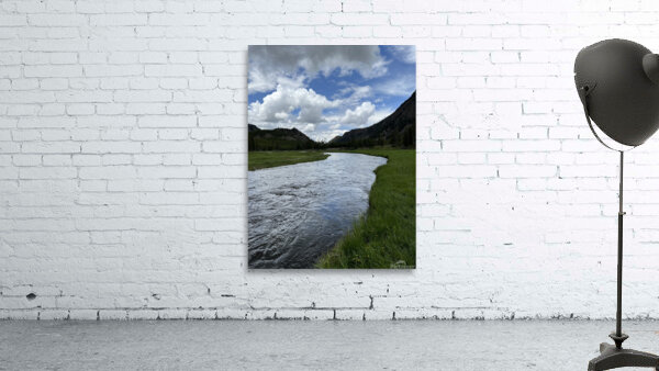 Montana Wall Preview
