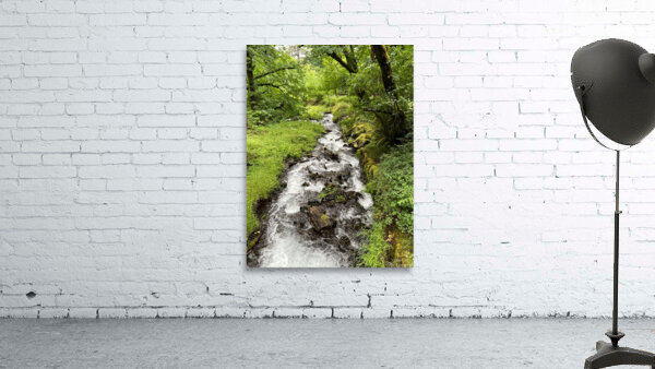 Oregon Wall Preview