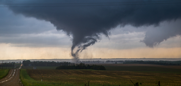 Pilger Overhead Digital Download