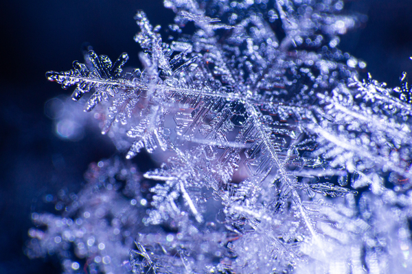 Flakes Digital Download