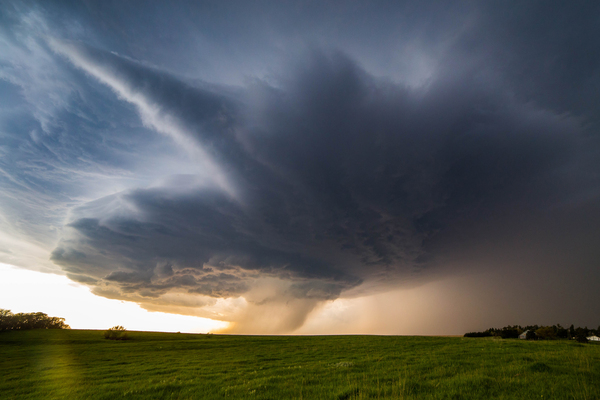 Nebraska Spin Digital Download