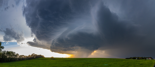 Hailer Digital Download