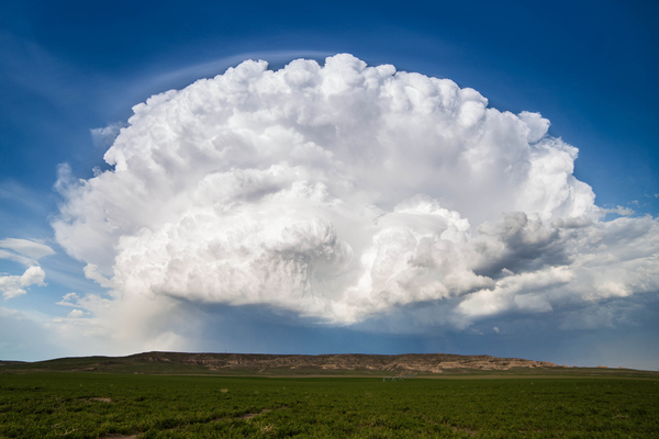 Open Storm Digital Download