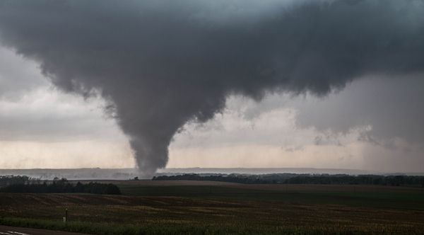 Pilger Close  Digital Download