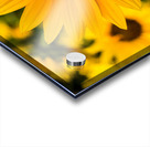 Flower Power Acrylic print