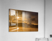 Sunrise Acrylic Print