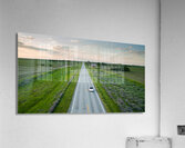 Crusing Acrylic Print
