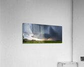 Hailer Acrylic Print