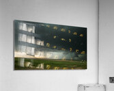 Open Sky  Acrylic Print
