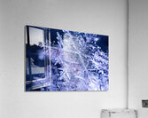Flakes Acrylic Print