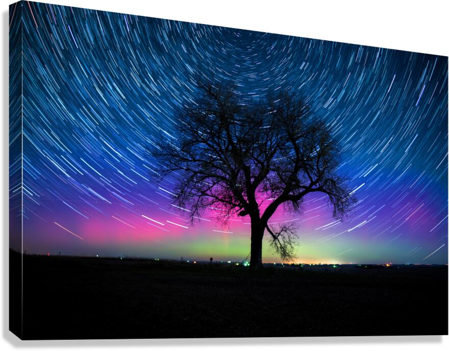 Aurora Star Trails