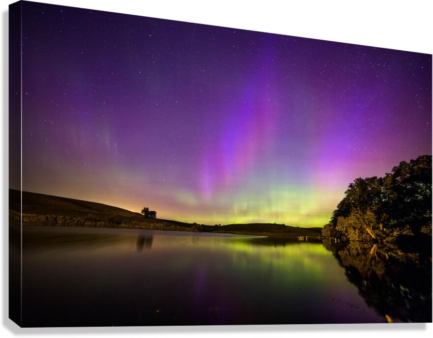 Willow Lake Lights