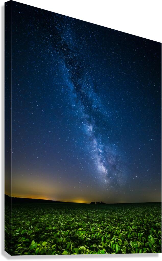 Nebraska Nights 