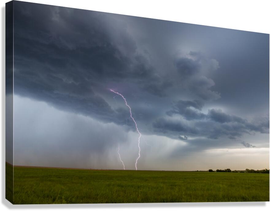 Alexandria Lightning 