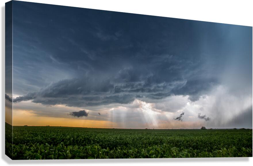 Alexandria Storm 