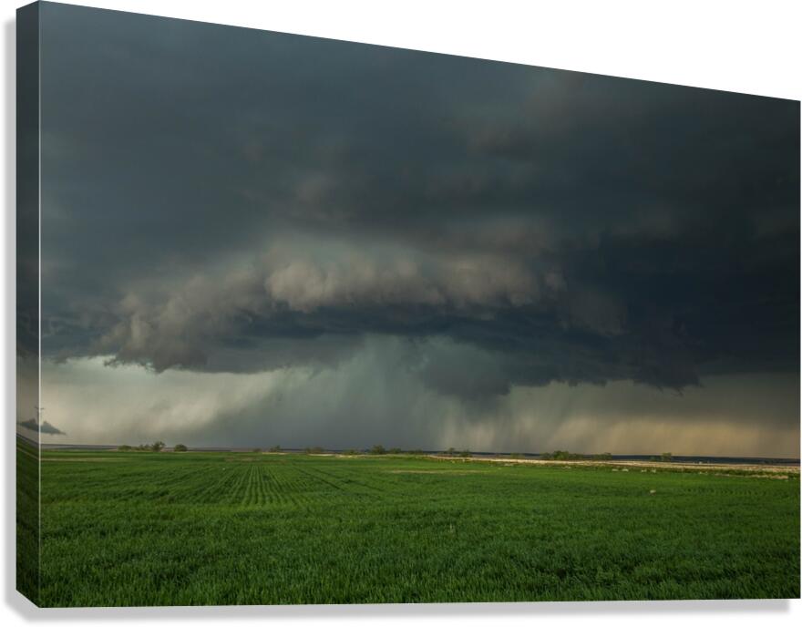 Colorado Storm 