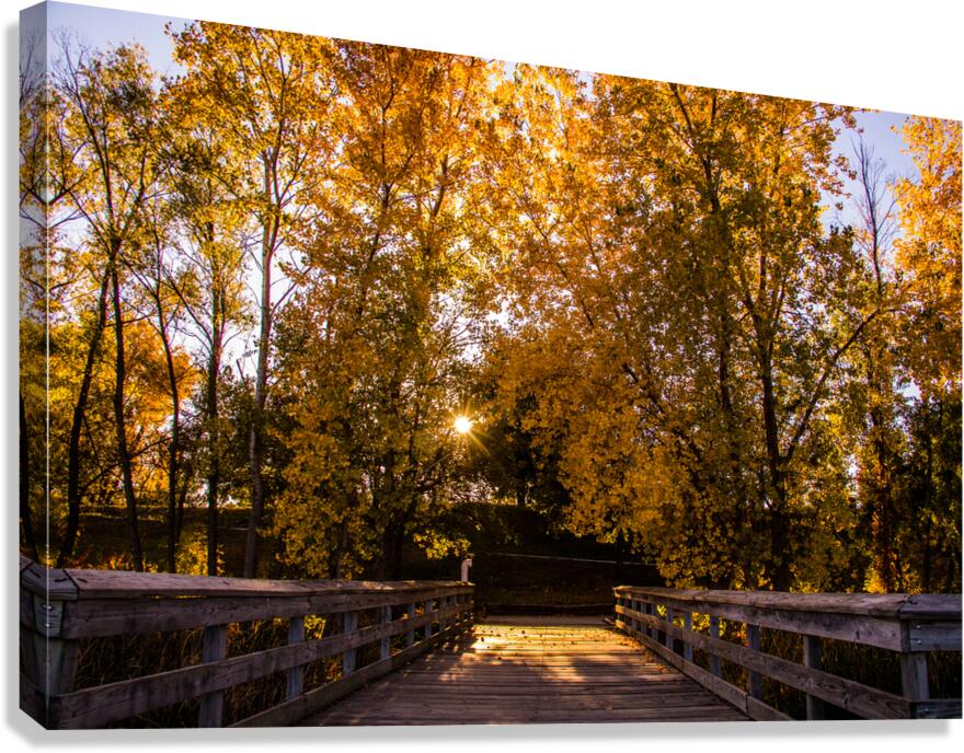 Mahoney Bridge 