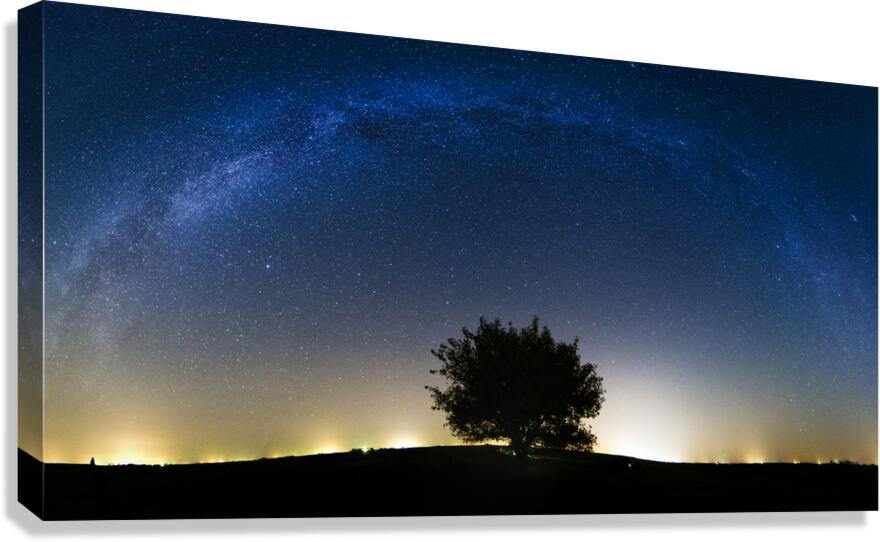 Lyons Milky Way 