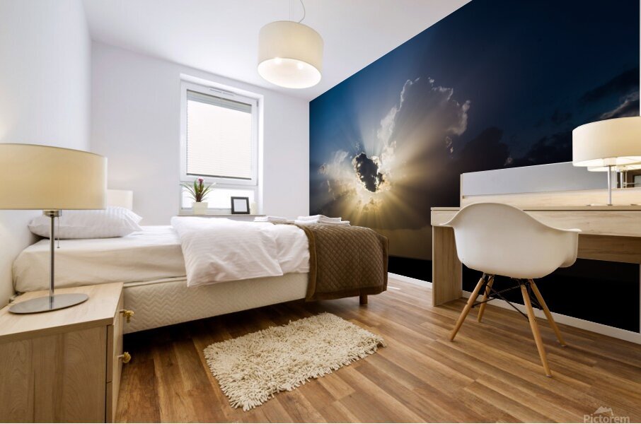 Sun Rays Mural print