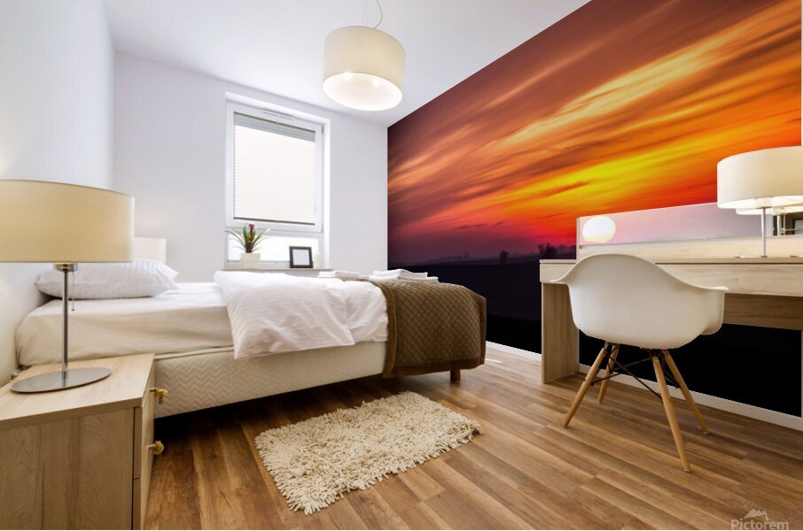 Summer Sunset Mural print