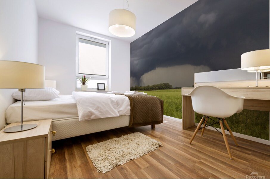 Pilger Twin Tornadoes Mural print
