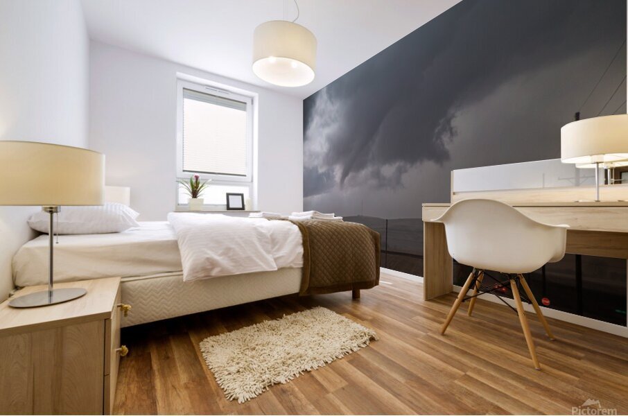 Deloit Tornado Mural print