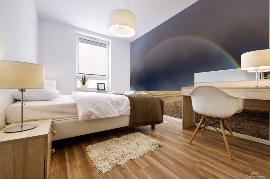 Valley Rainbow Mural print