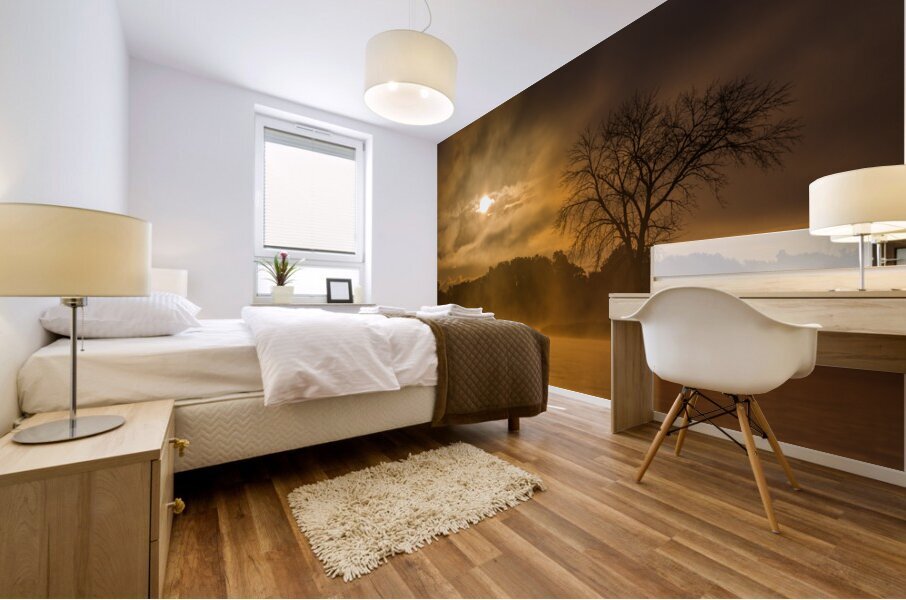 Sunrise Mural print