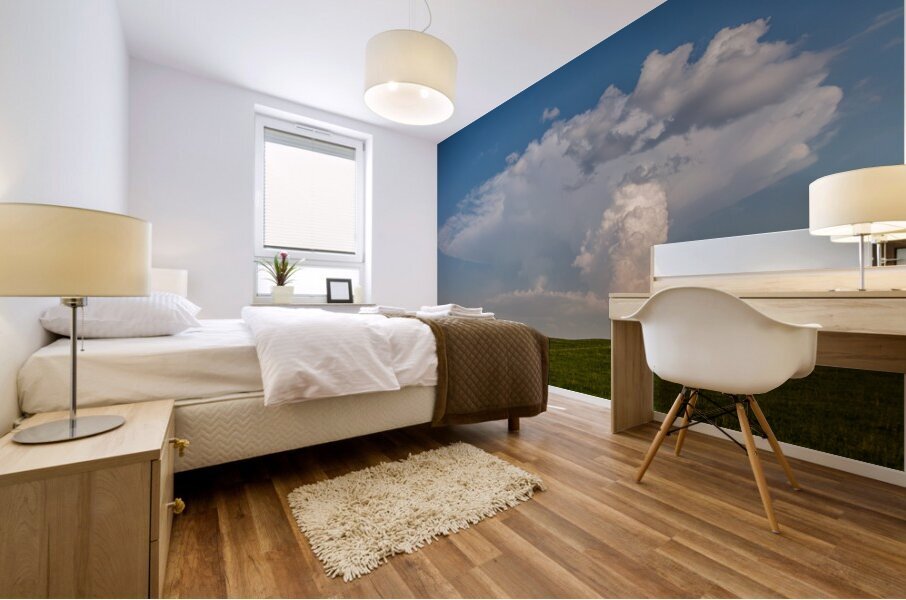 Initation Mural print