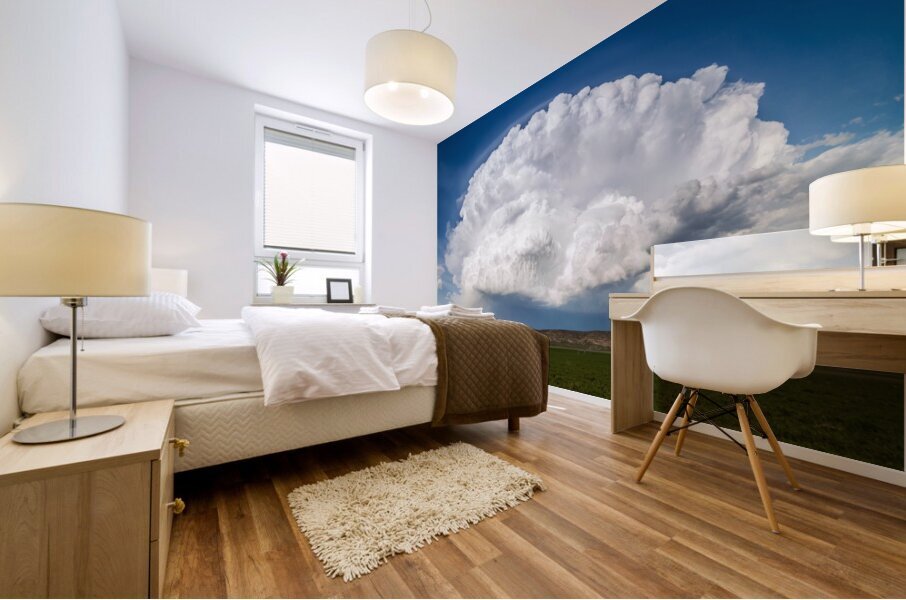 Open Storm  Mural print