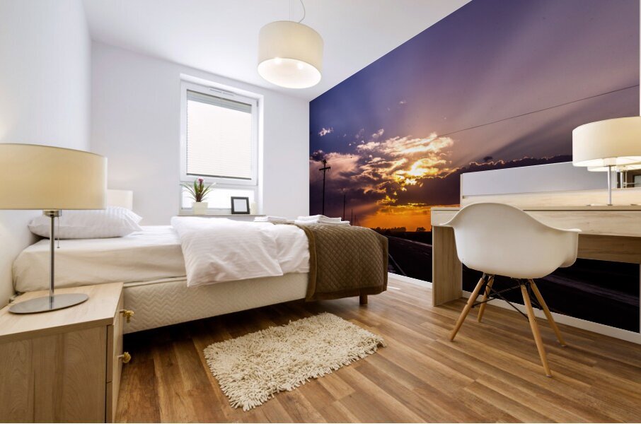 Highway Sunset Mural print