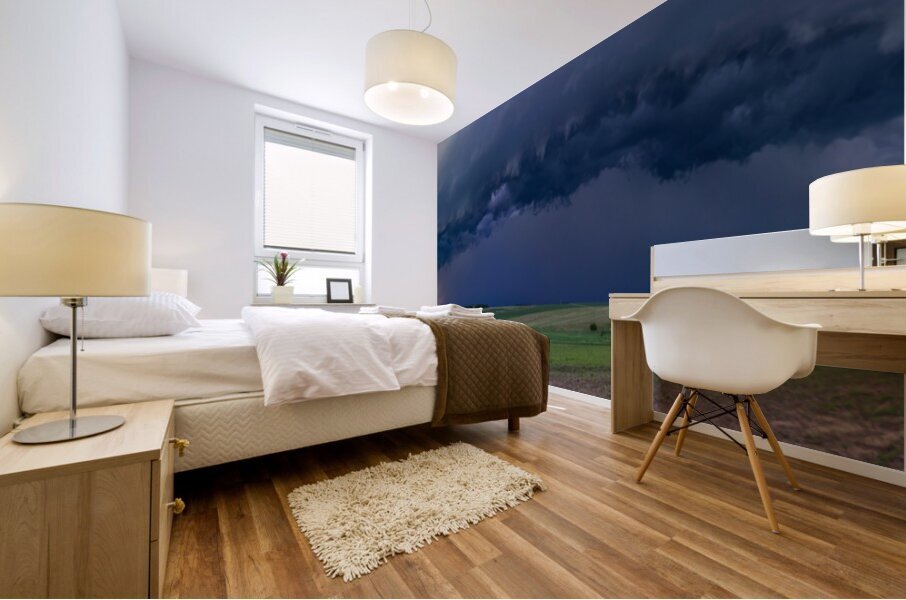 Beemer  Mural print