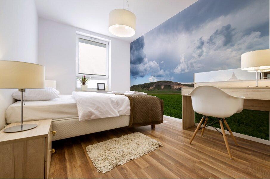Chimney Rock  Mural print