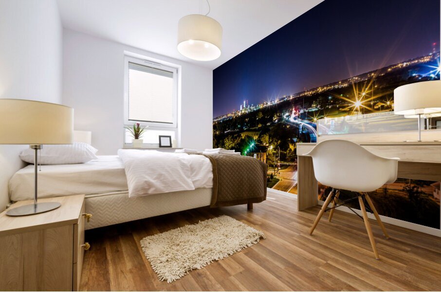 The Overlook  Mural print