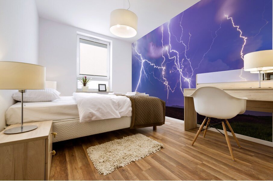 Ansley Lightning Mural print