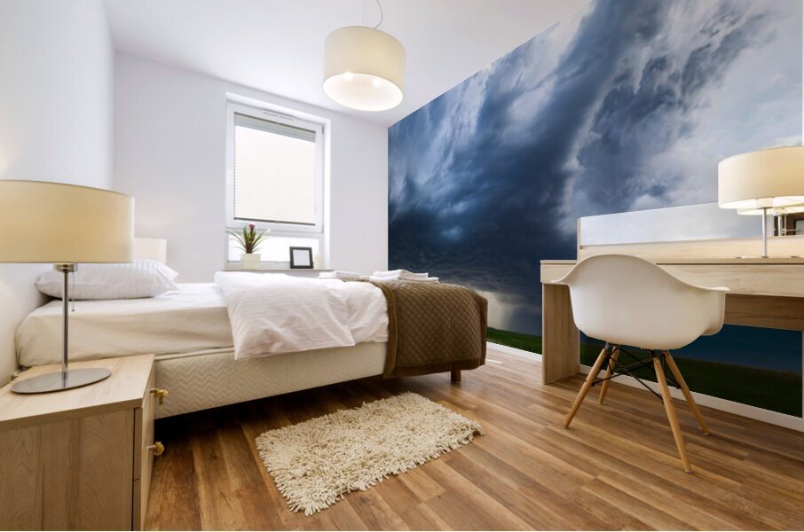 Canada Plains Mural print