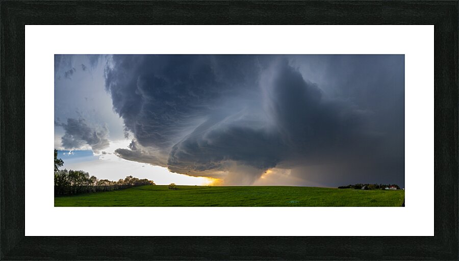 Hailer Picture Frame print