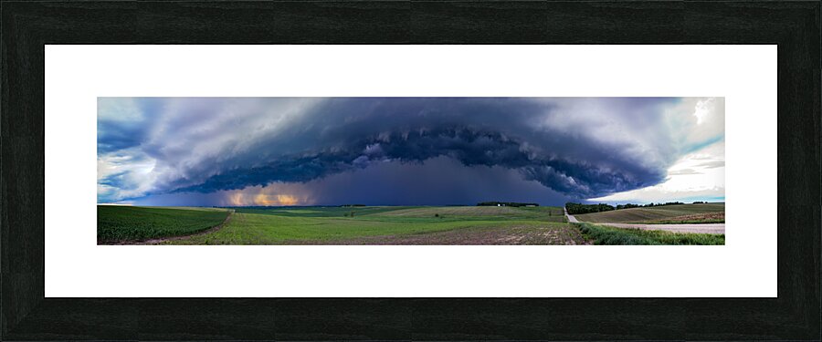 Beemer  Picture Frame print
