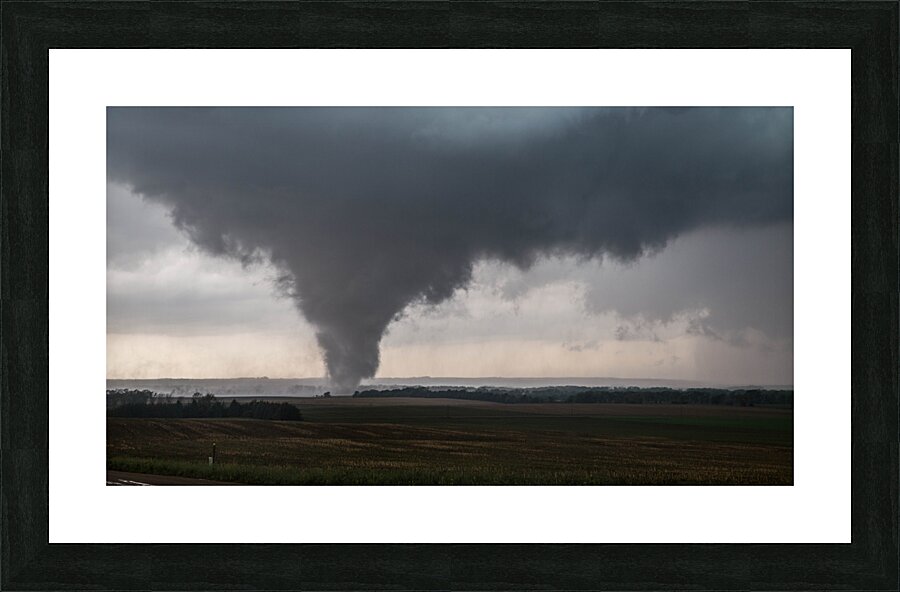 Pilger Close  Picture Frame print