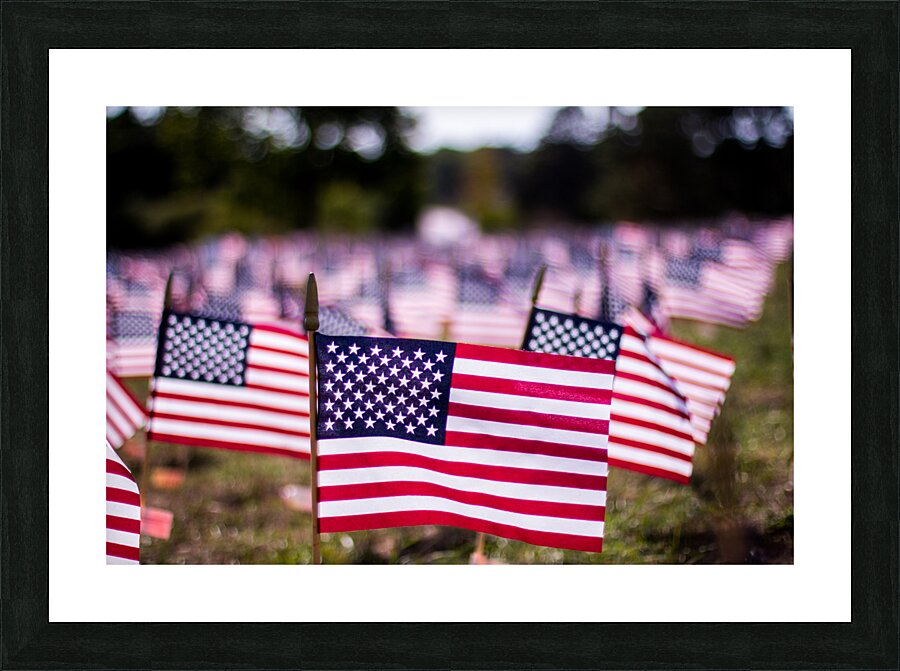 Memorial Park  Picture Frame print