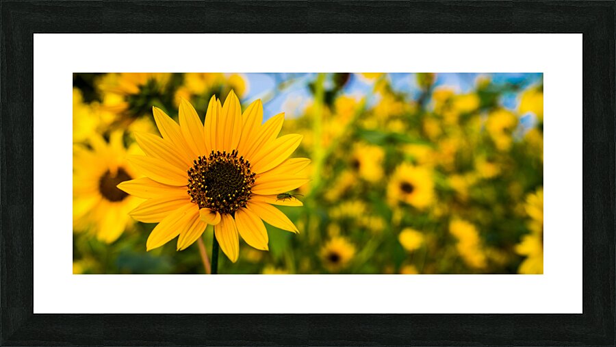 Flower Power Picture Frame print